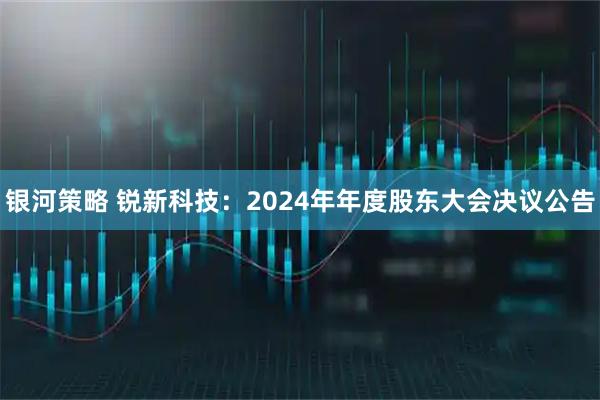 银河策略 锐新科技：2024年年度股东大会决议公告