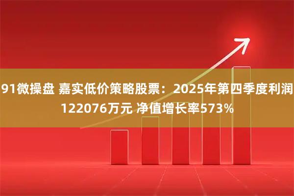 91微操盘 嘉实低价策略股票：2025年第四季度利润122076万元 净值增长率573%
